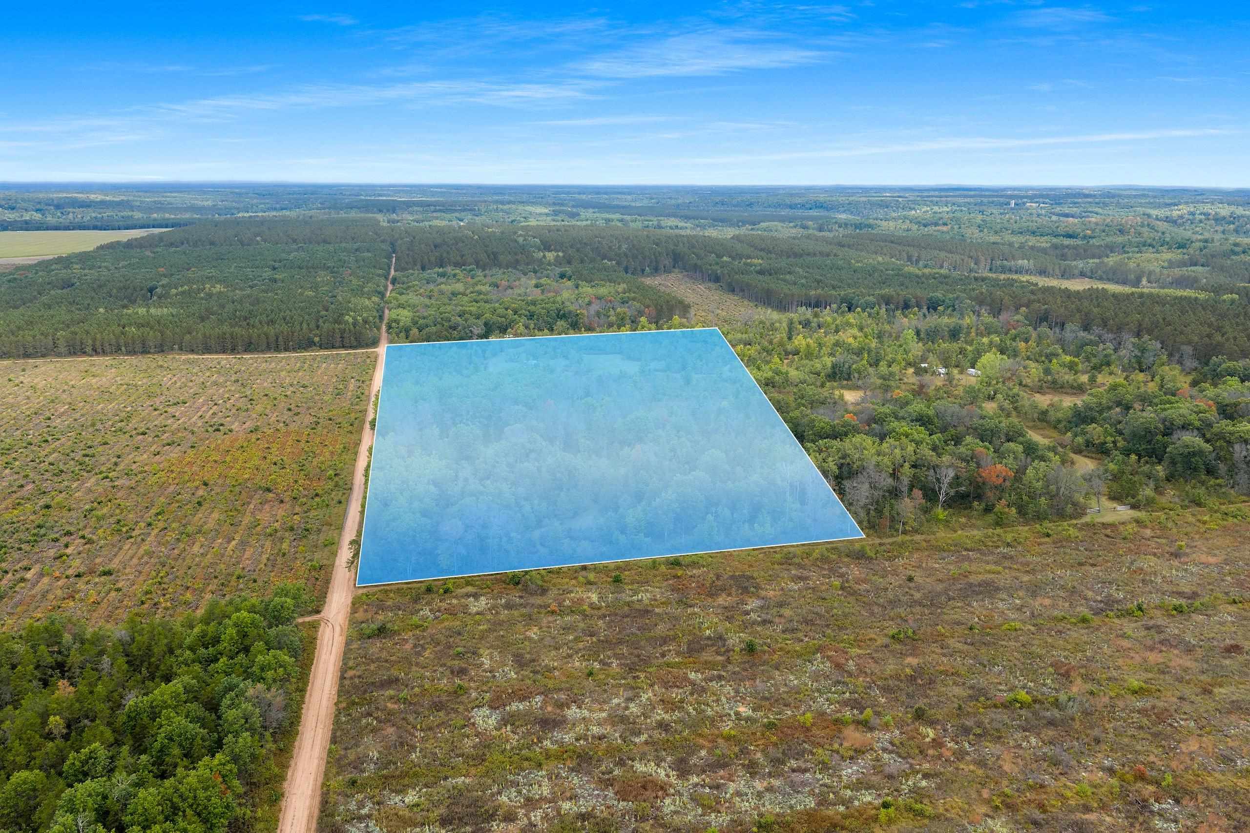 FOREST 1628 Road property preview photograph