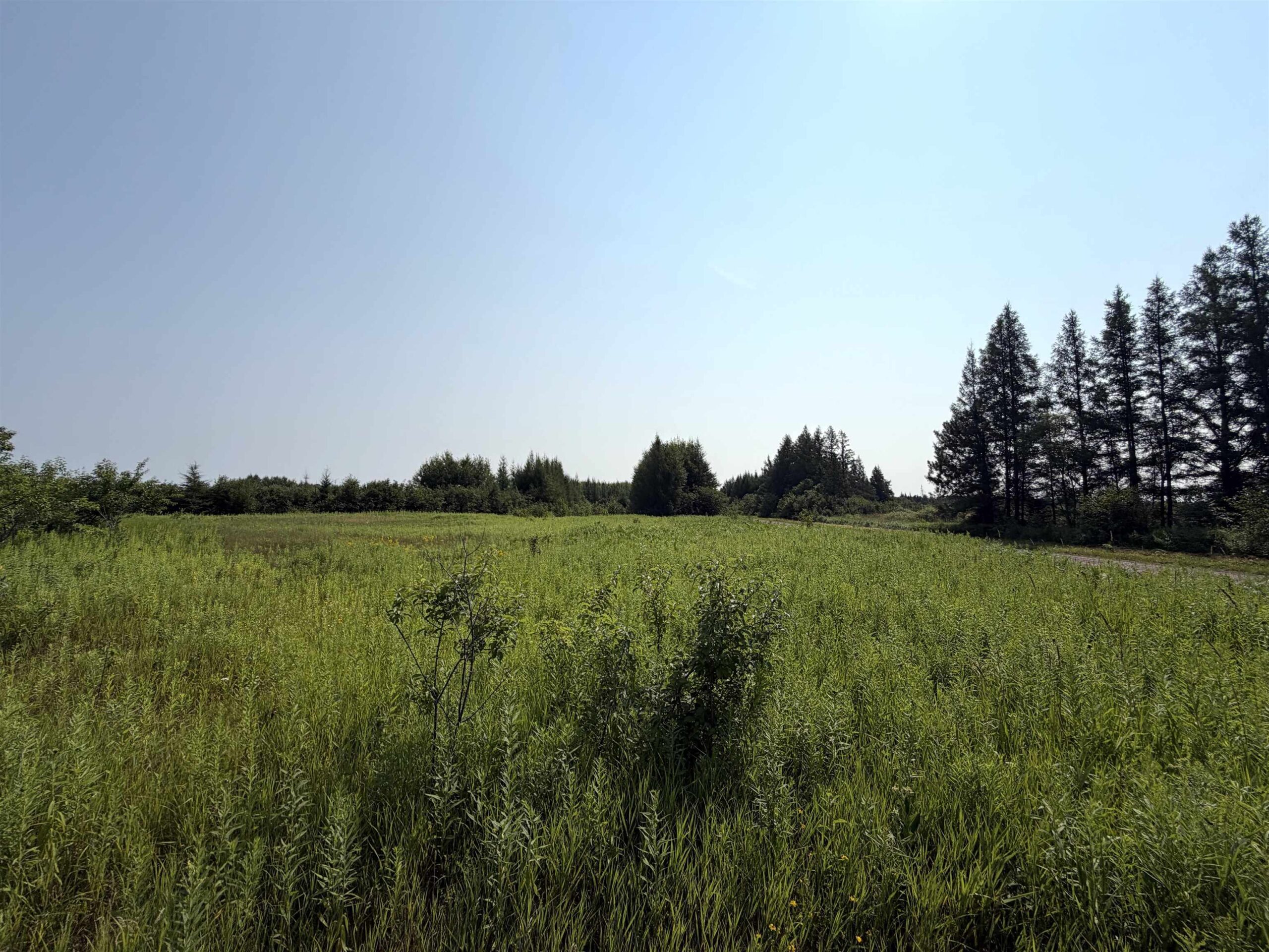 22491 MACKENBERG Road property preview photograph