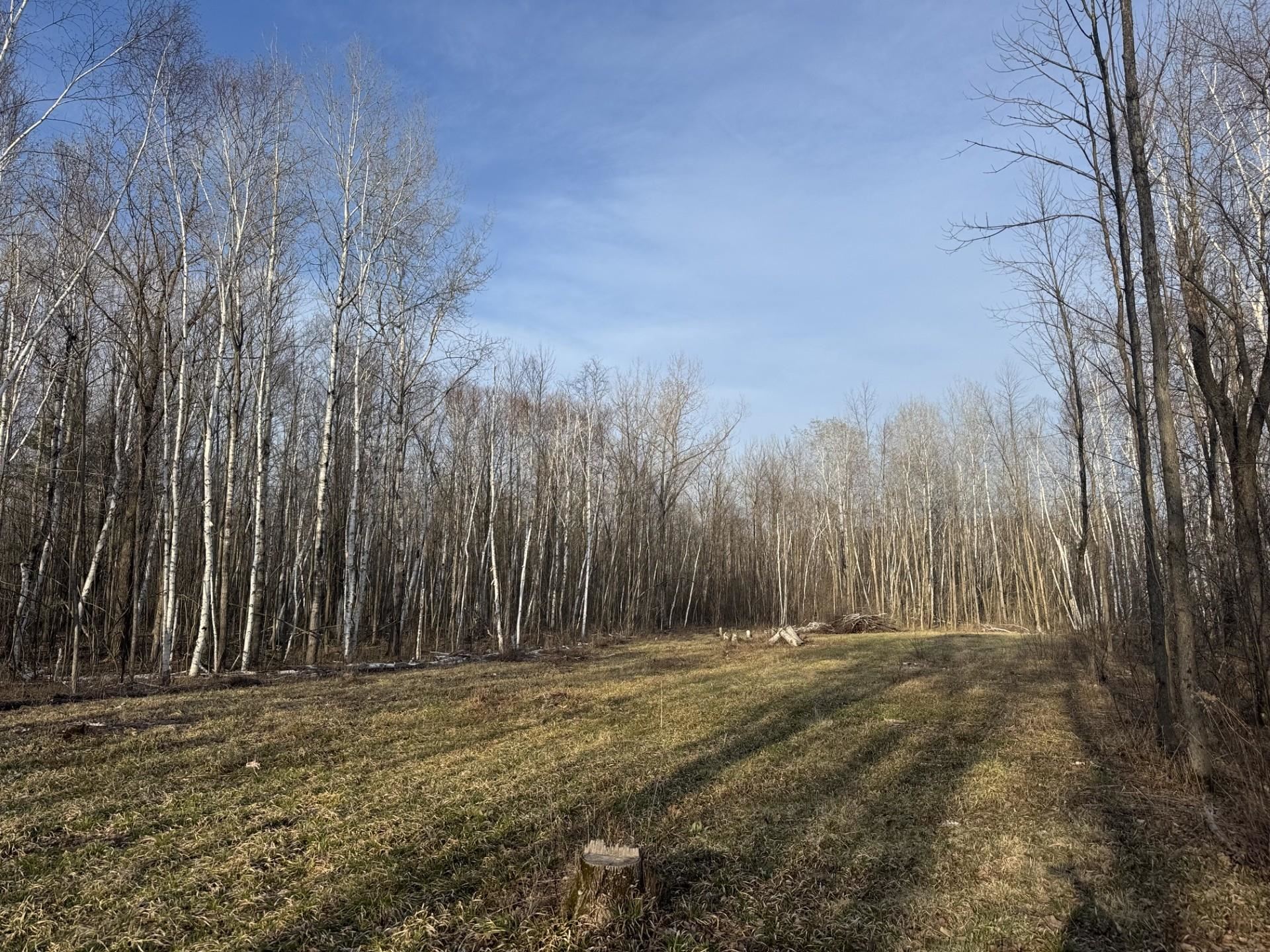 PIONEER Drive property preview photograph