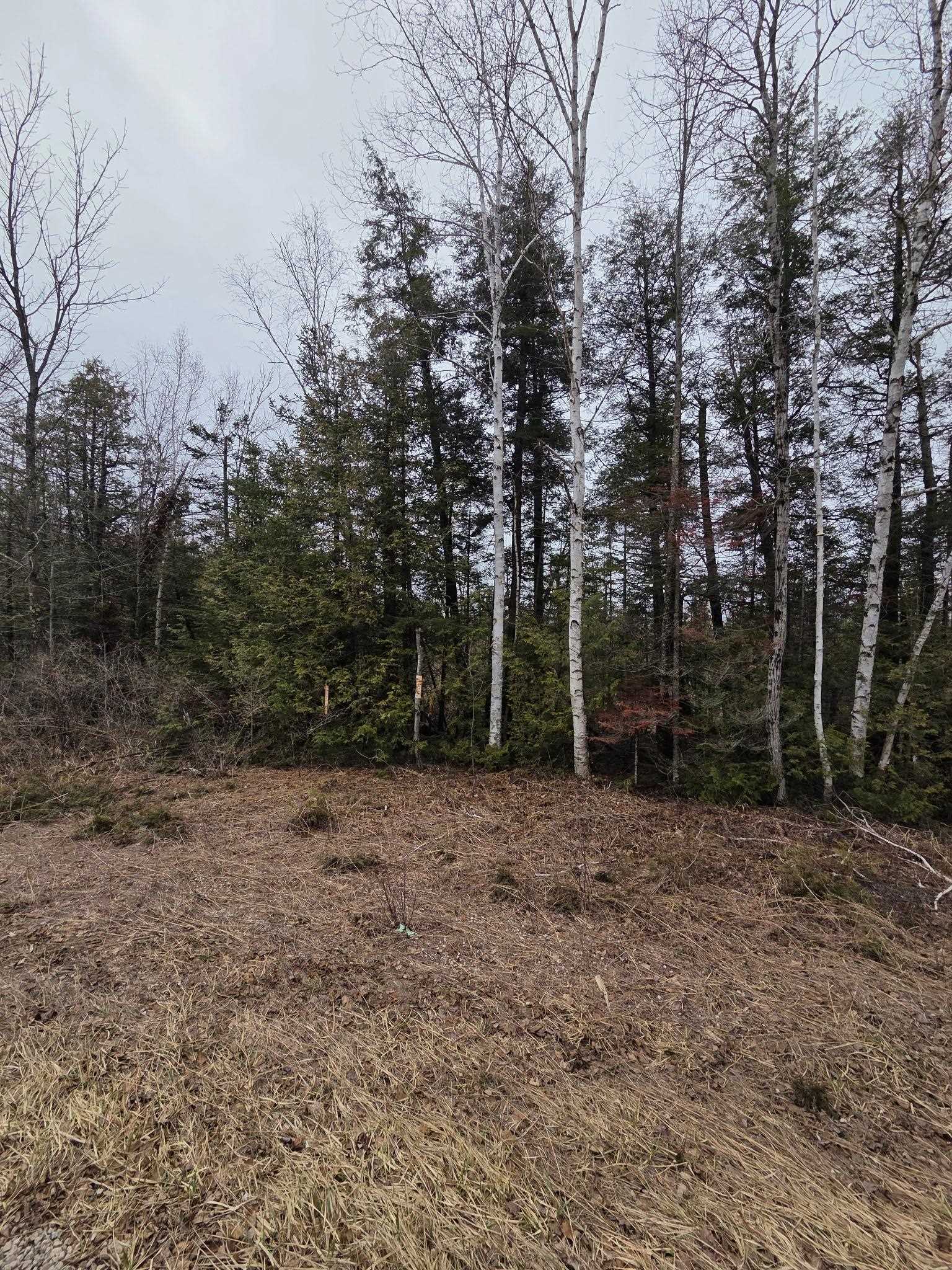 COUNTY ROAD G property preview photograph