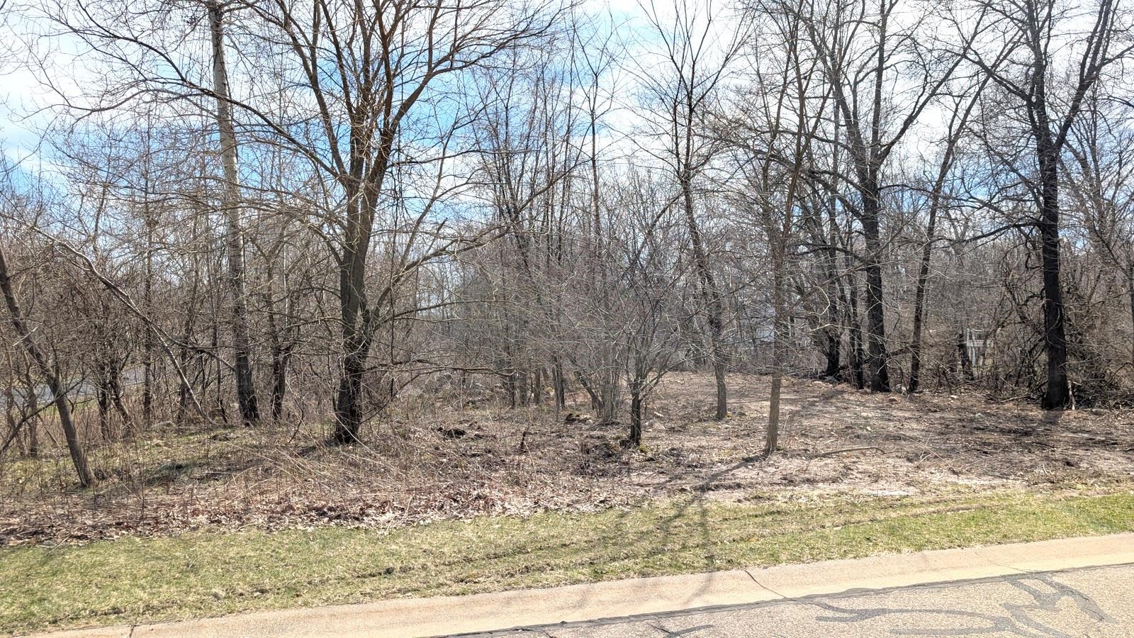 901 THOMAS Trail property preview photograph