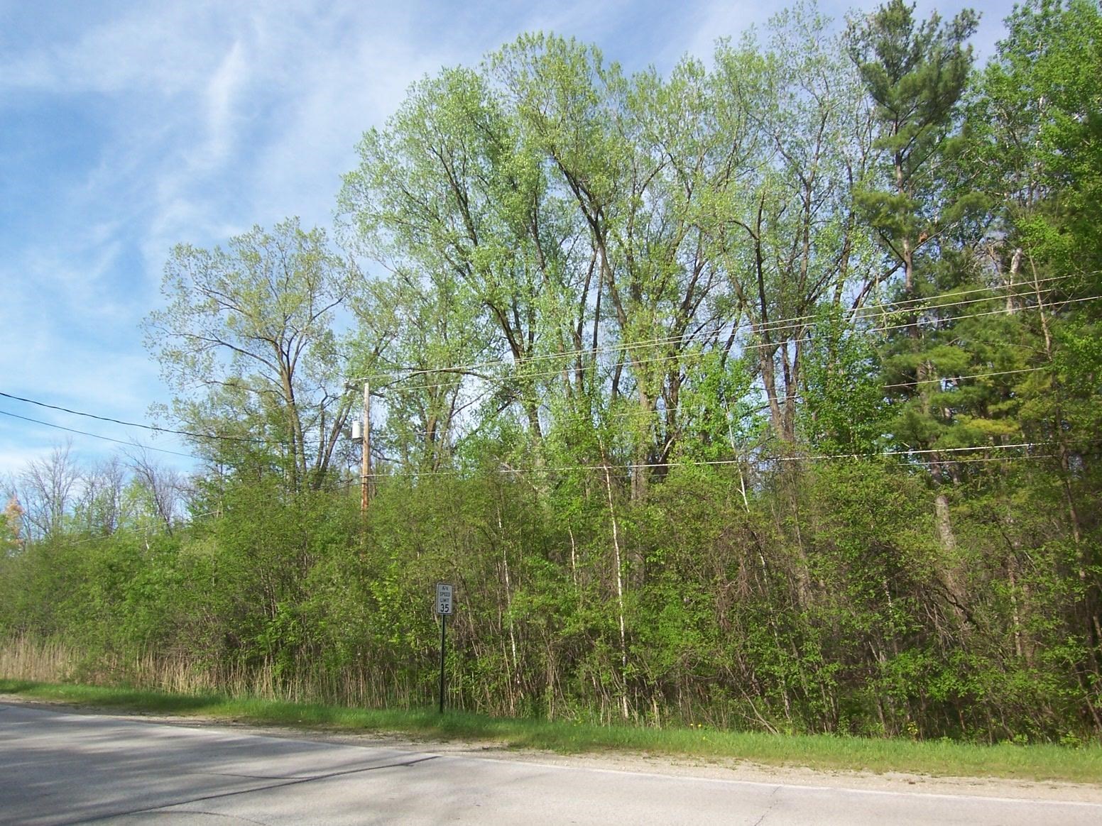 13628 VELP Avenue property preview photograph