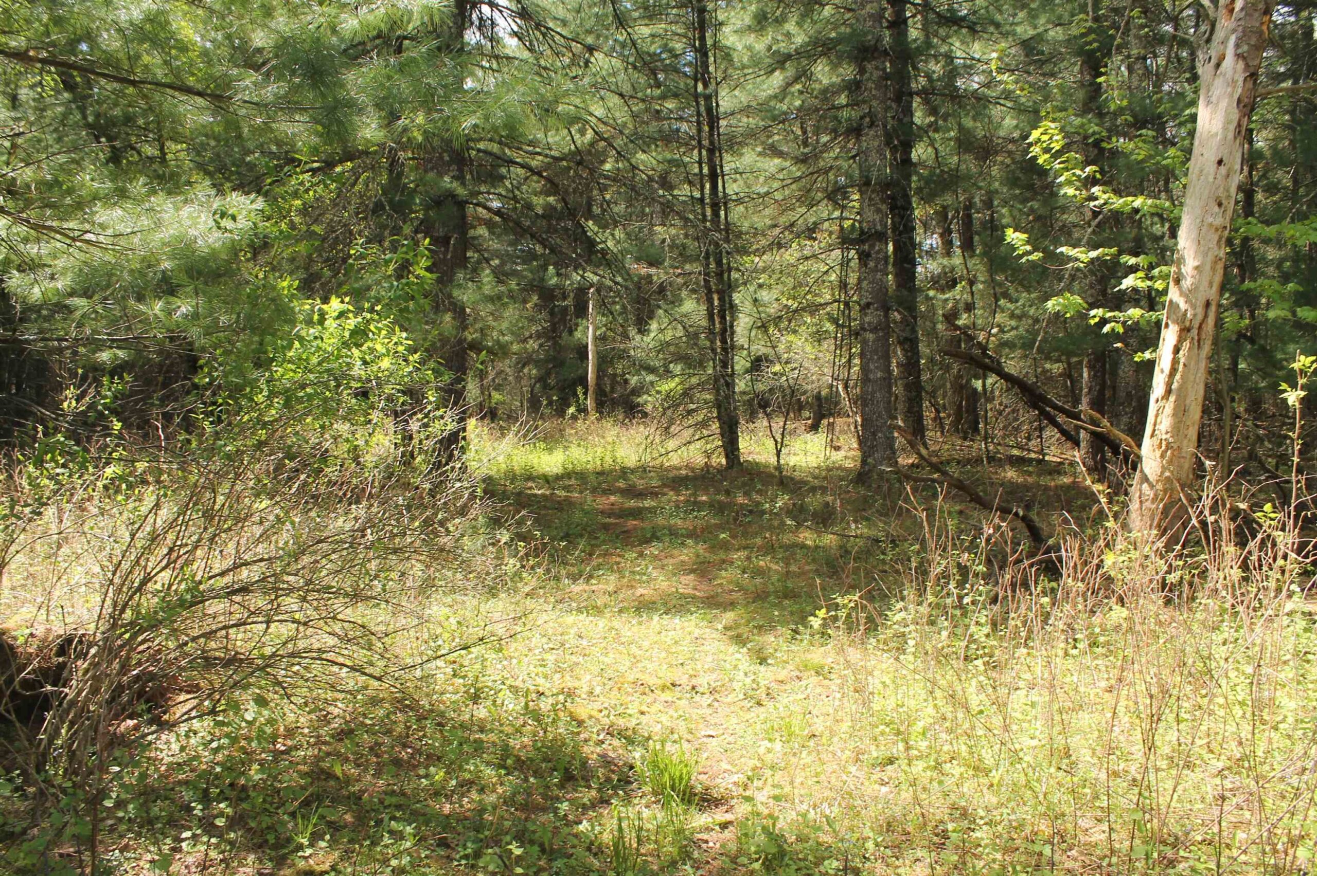8TH Road property preview photograph