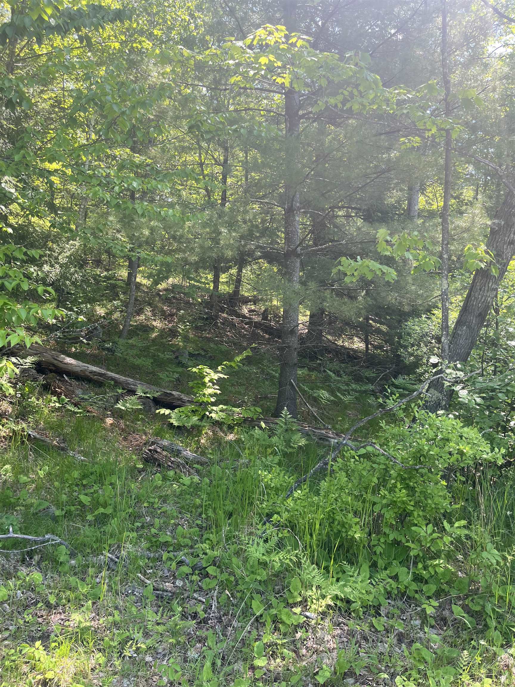 LAKE JOHN Road property preview photograph