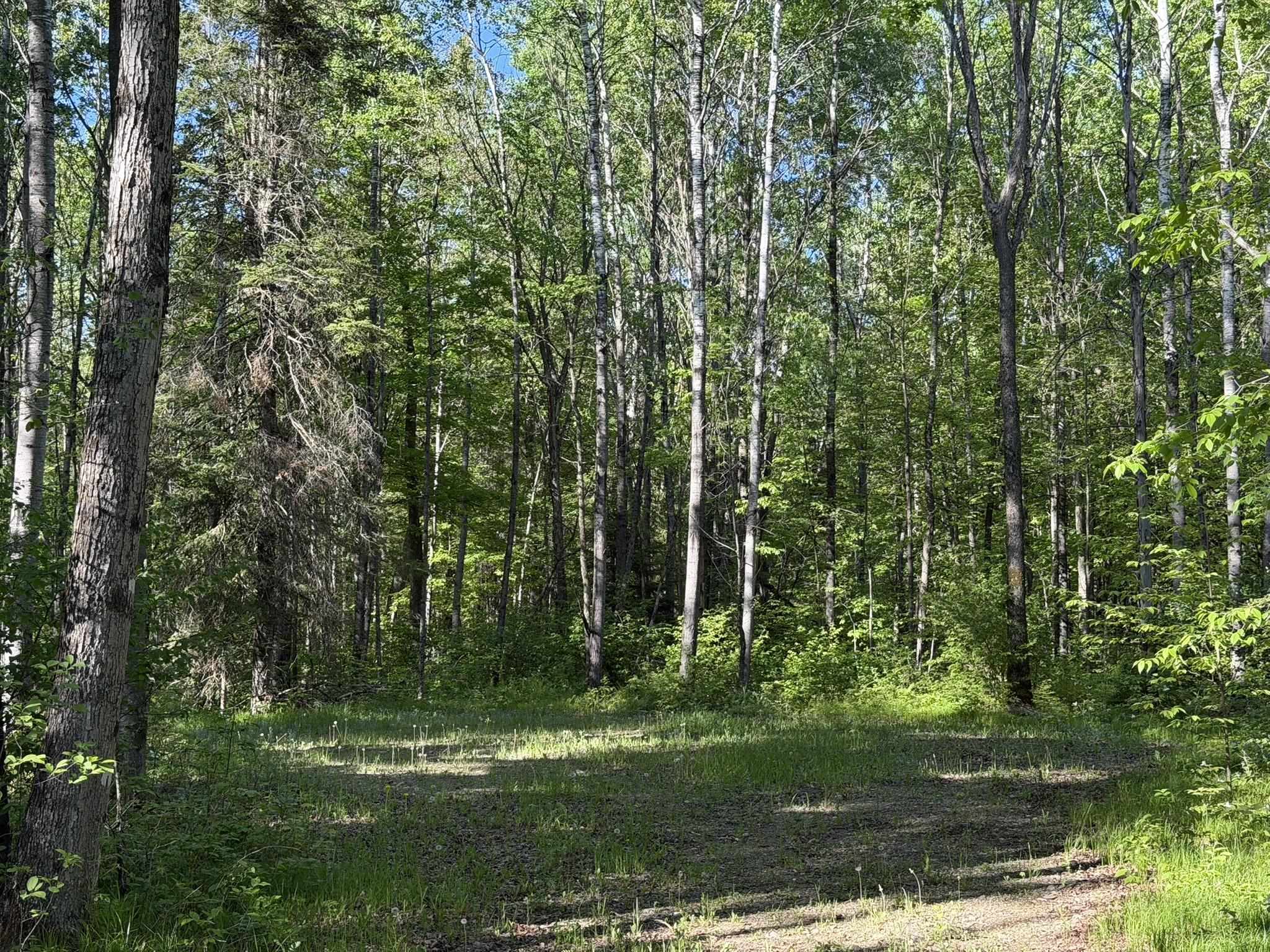 DREAM LAKE Road property preview photograph