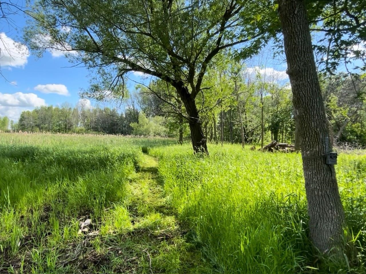 COUNTY RD B property preview photograph