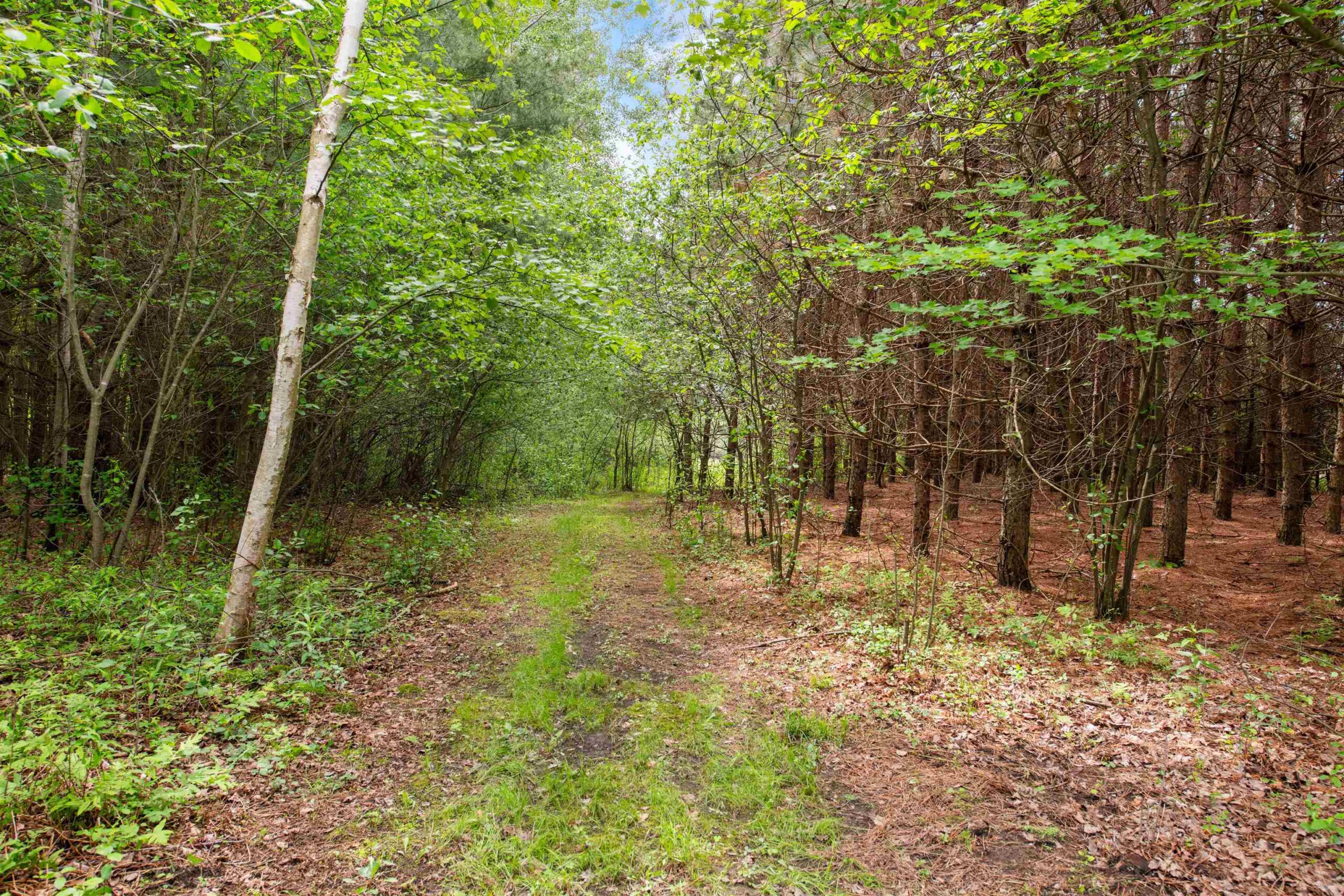 HALE SCHOOL Road property preview photograph