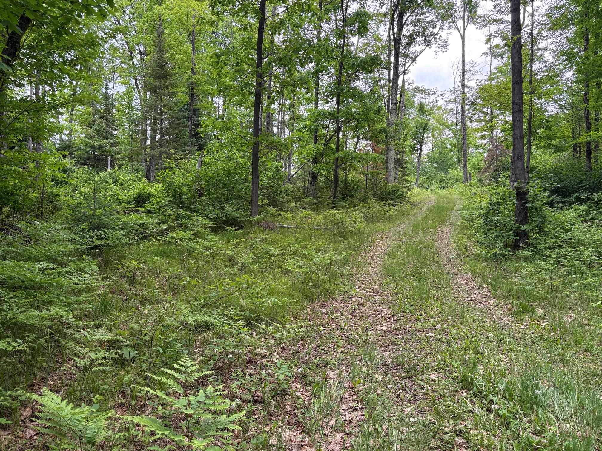 W15816 FAWN ACRES Road property preview photograph