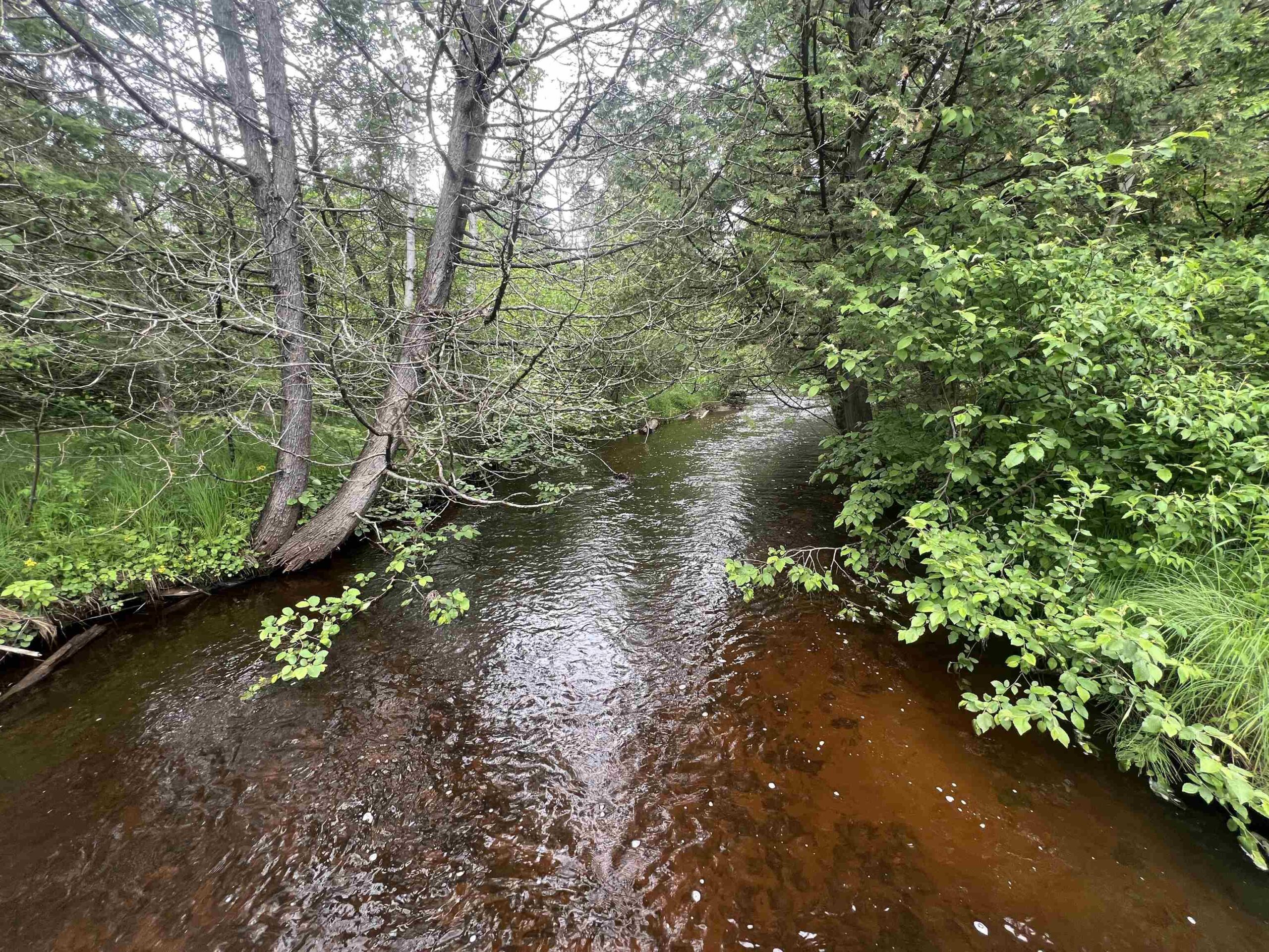BIELAK Road property preview photograph