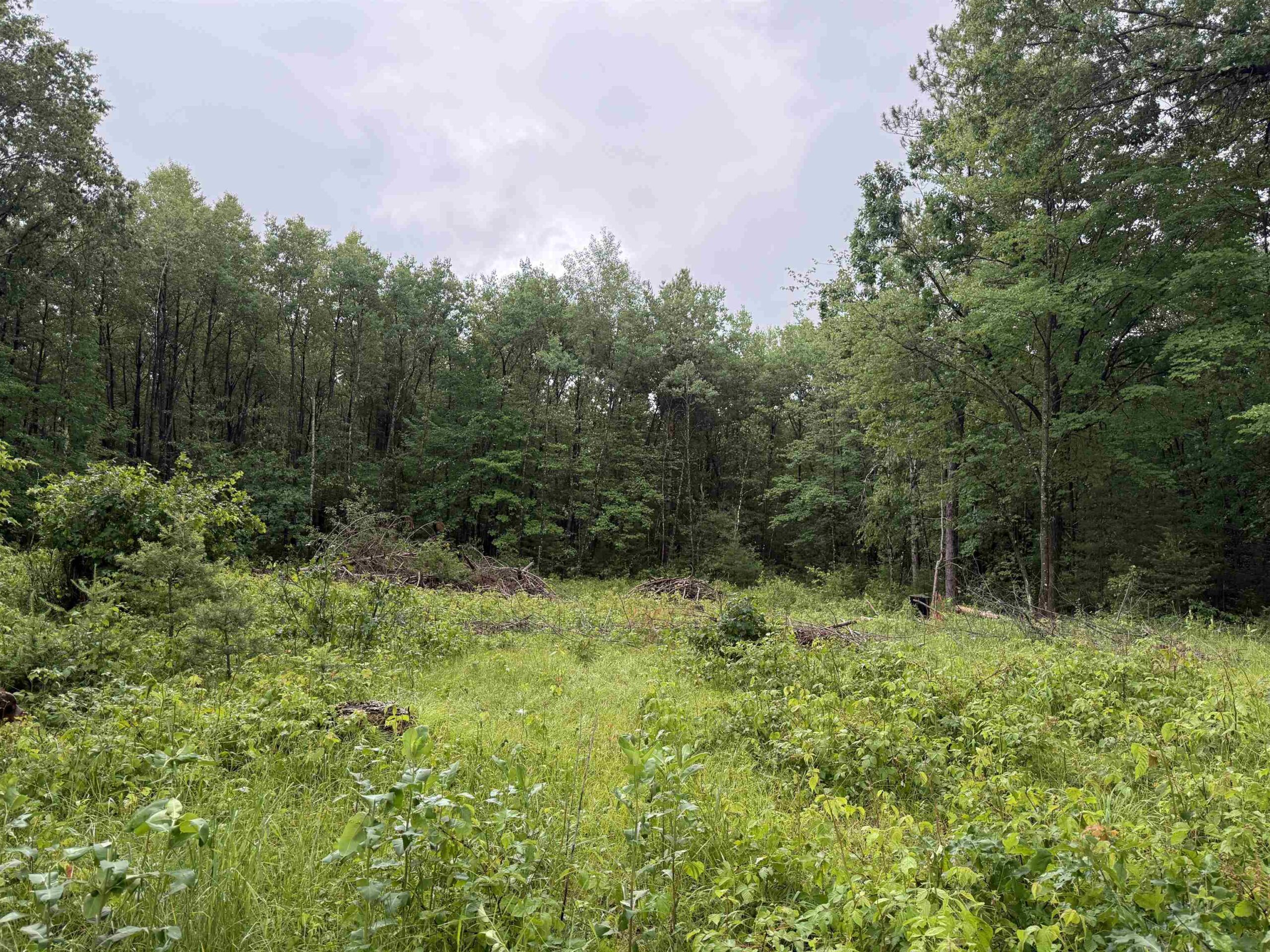 W1561 HAWKS NEST Trail property preview photograph