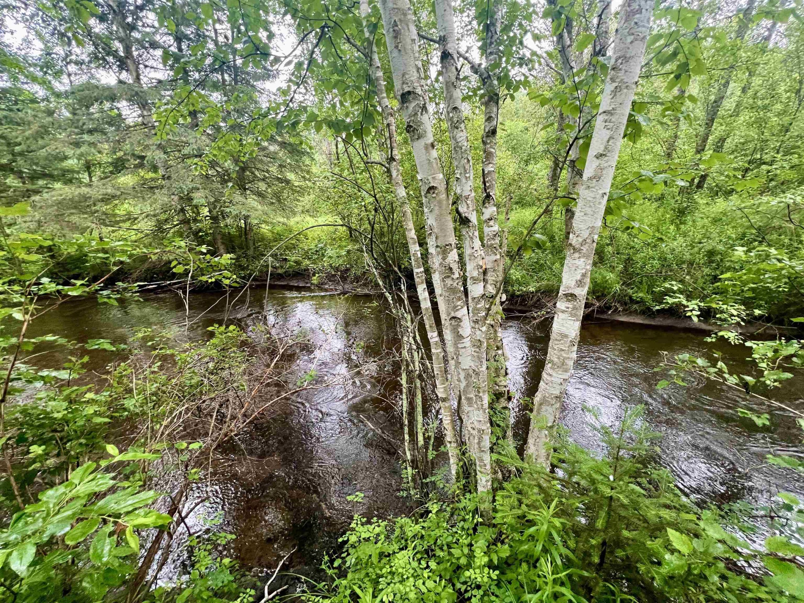 W8801 MOONSHINE HILL Road property preview photograph