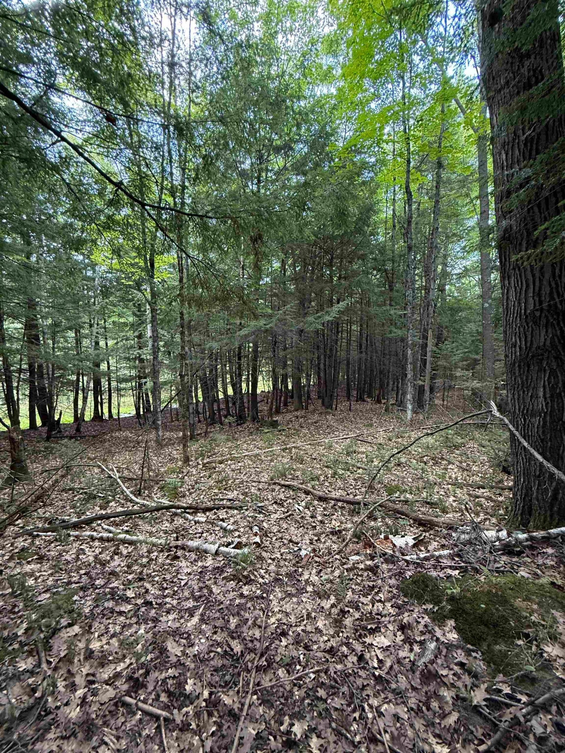 DEER Lane property preview photograph