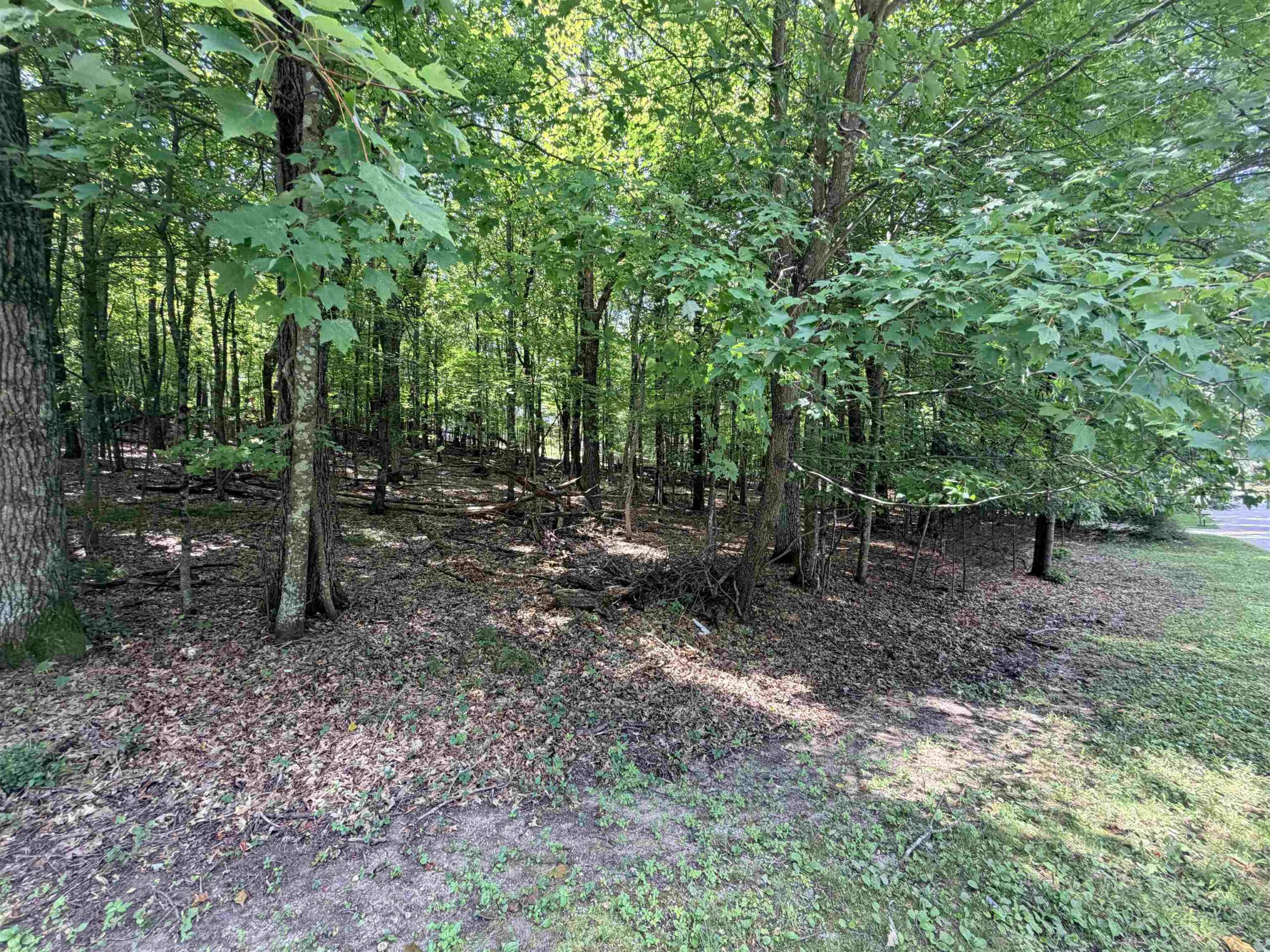 E769 AUGUSTA Lane property preview photograph