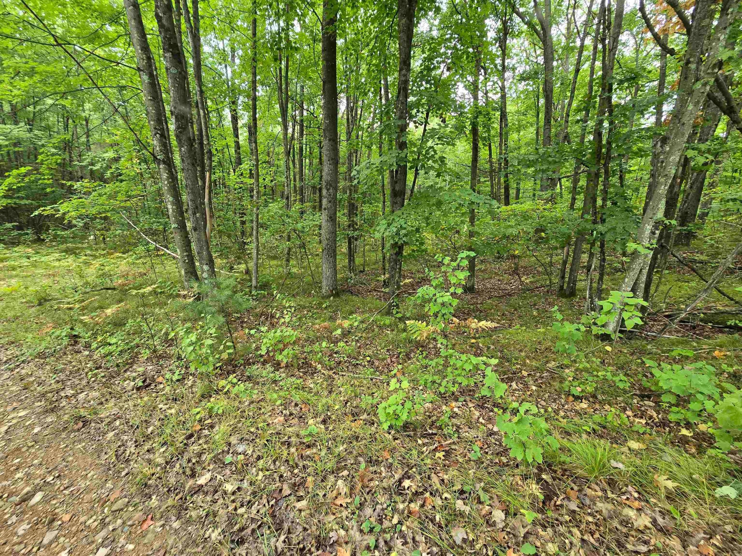 ROUSH Road property preview photograph