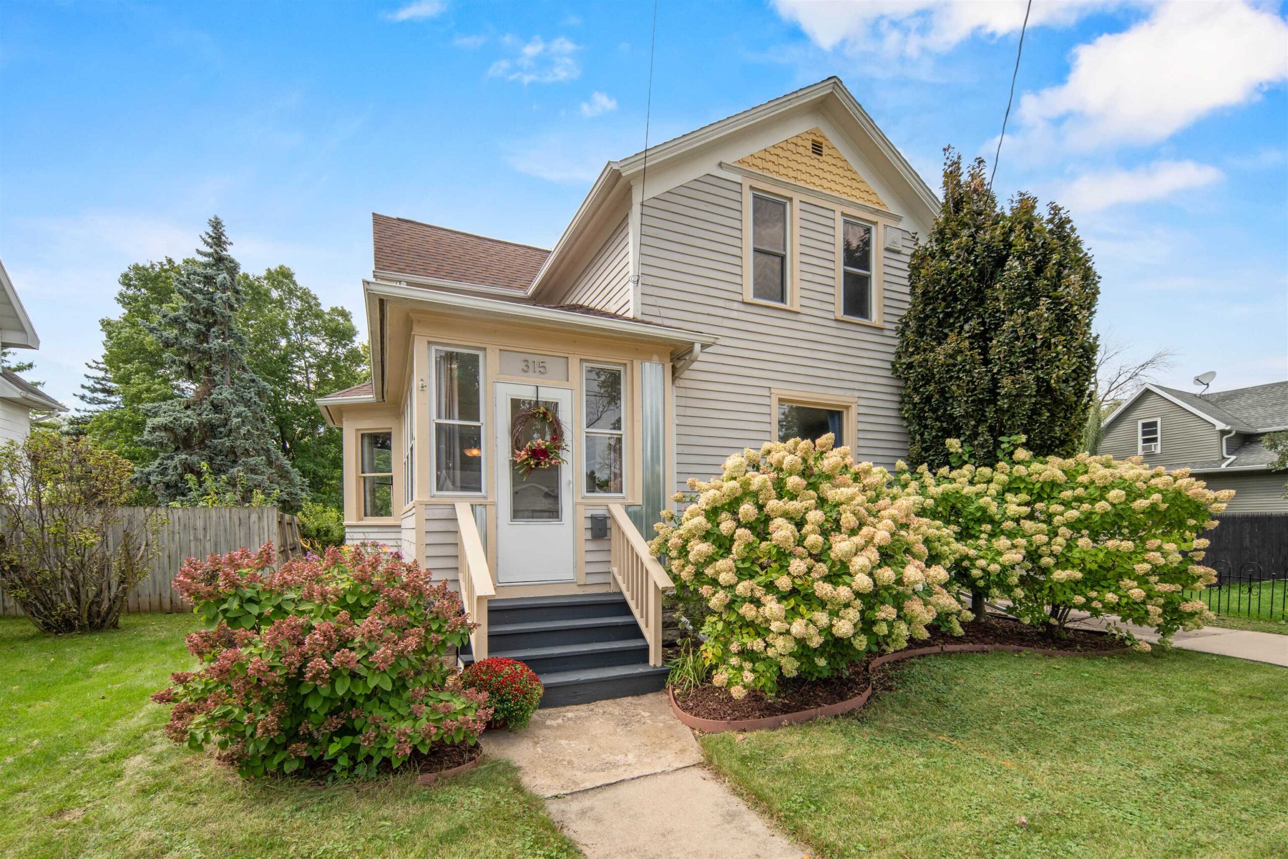 315 VAN Street property preview photograph