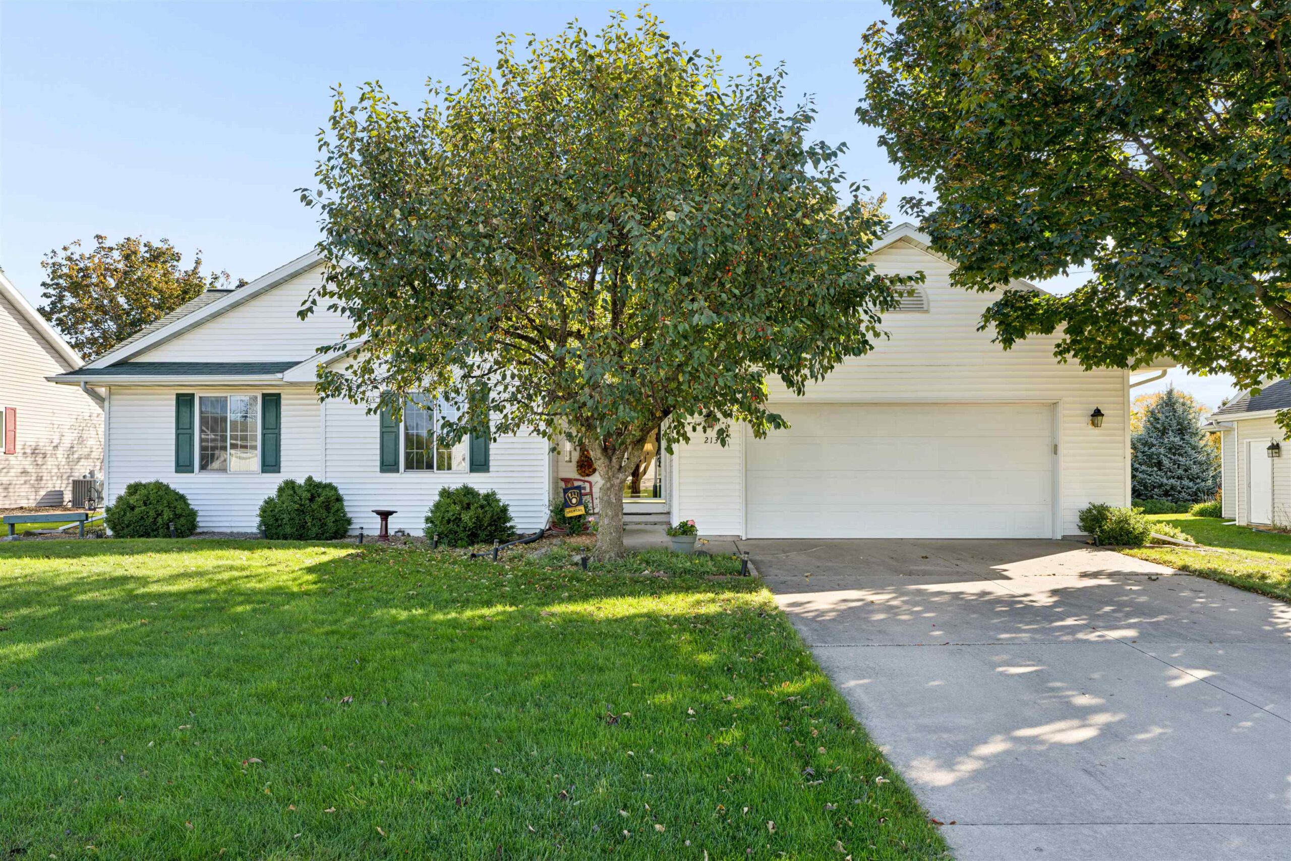 2131 DEER PRAIRIE Drive property preview photograph